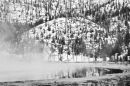 THERMAL BASIN